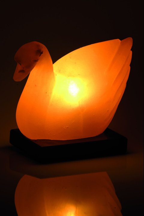 Lampe de Sel Canard 2-3 Kg chez Arabesk