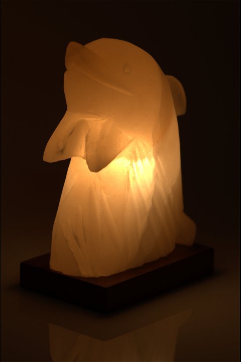 Lampe de Sel Dauphin 3 Kg chez Arabesk|cz