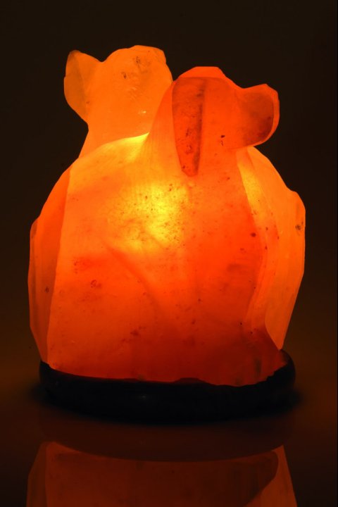 Lampe de Sel Double Chiots 3Kg chez Arabesk|cz
