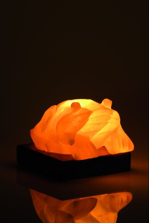 Lampe de Sel Grenouille 4 Kg chez Arabesk|cz