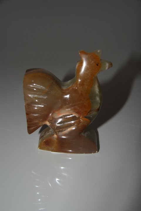 Coq Onyx chez Arabesk