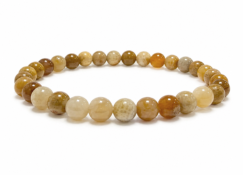 Bracelet Corail Fossile A perles 6mm chez Arabesk