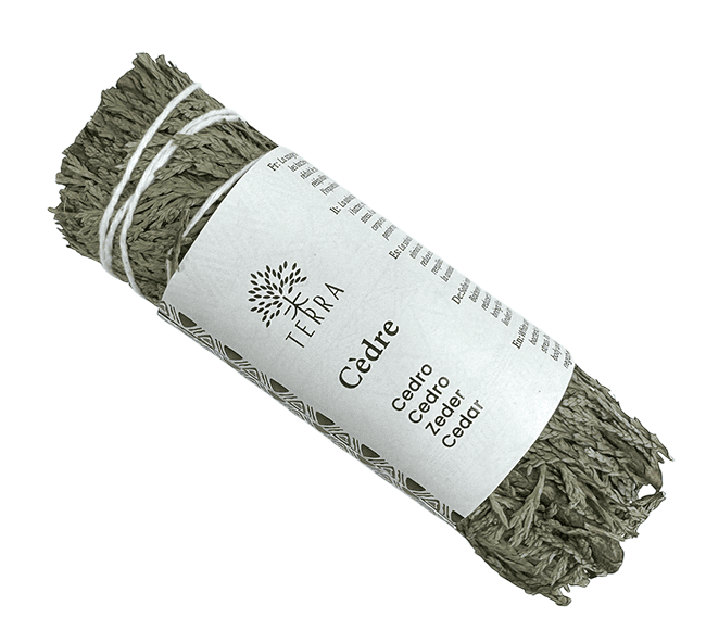 Cedre blanc thuya naturel fagot 25-30g 10cm chez Arabesk