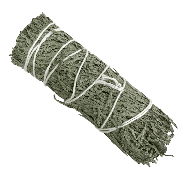 Cedre blanc thuya naturel fagot 25-30g 10cm chez Arabesk|cz