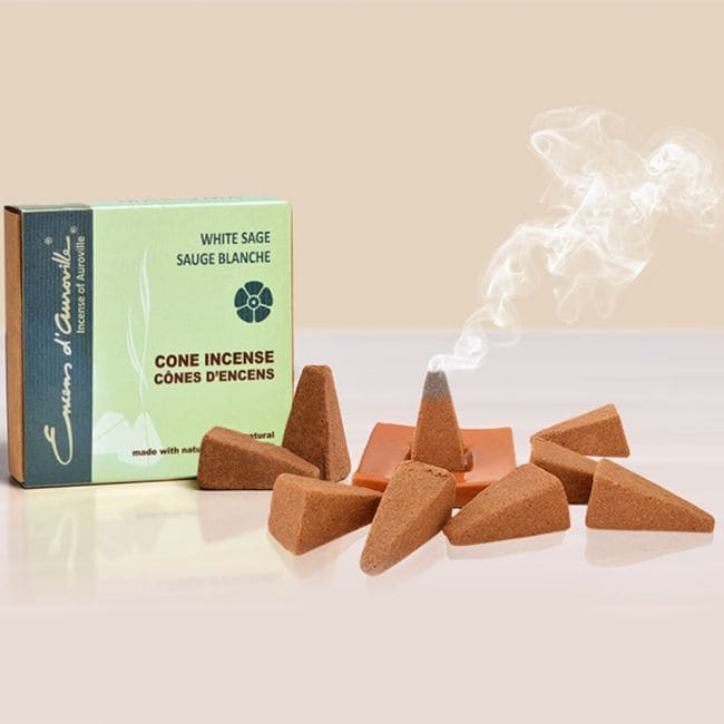 Encens d'Auroville Sauge Blanche 5x10 Cônes chez Arabesk|cz