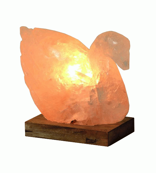 Lampe de Sel Cygne Blanc 3 Kg chez Arabesk