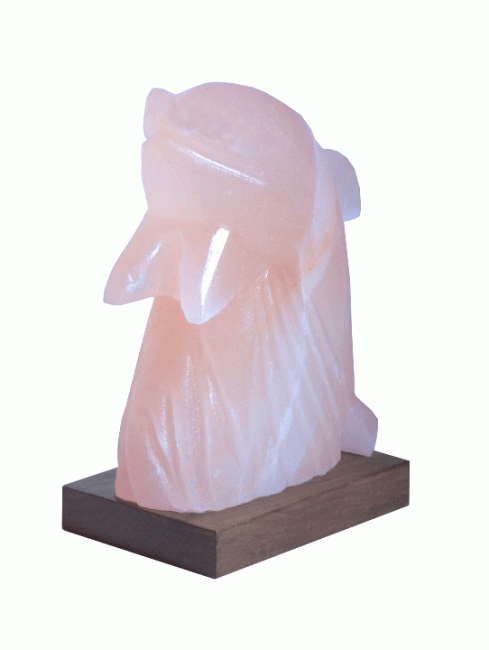 Lampe de Sel Dauphin 3 Kg chez Arabesk