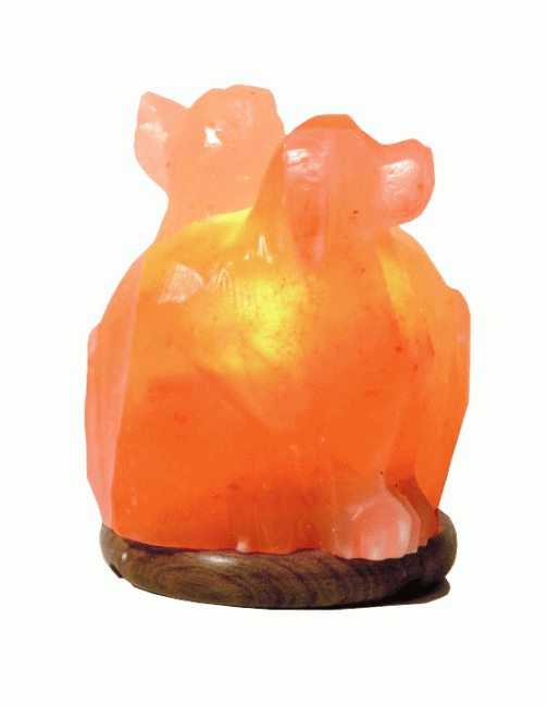 Lampe de Sel Double Chiots 3Kg chez Arabesk