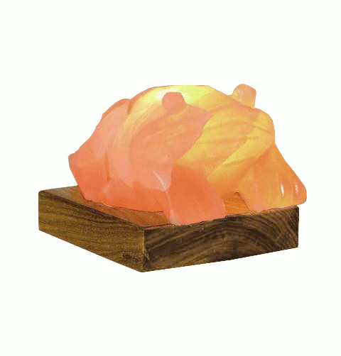 Lampe de Sel Grenouille 4 Kg chez Arabesk