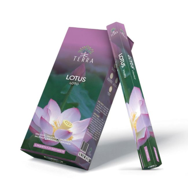 Encens Terra Lotus hexa sans charbon 30grs chez Arabesk