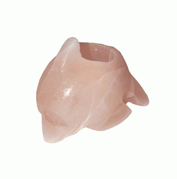Bougeoir en Cristal de Sel Naturel Dauphin 1Kg chez Arabesk