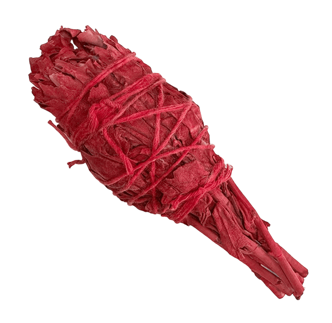 Sauge Blanche Sang de Dragon Torche 25-30g 12cm chez Arabesk