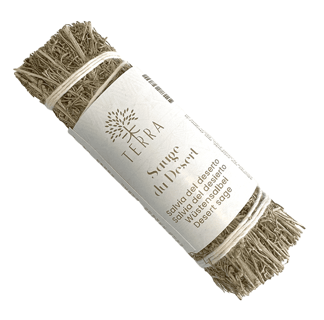 Sauge du Désert Fagot 25-30g 10cm chez Arabesk