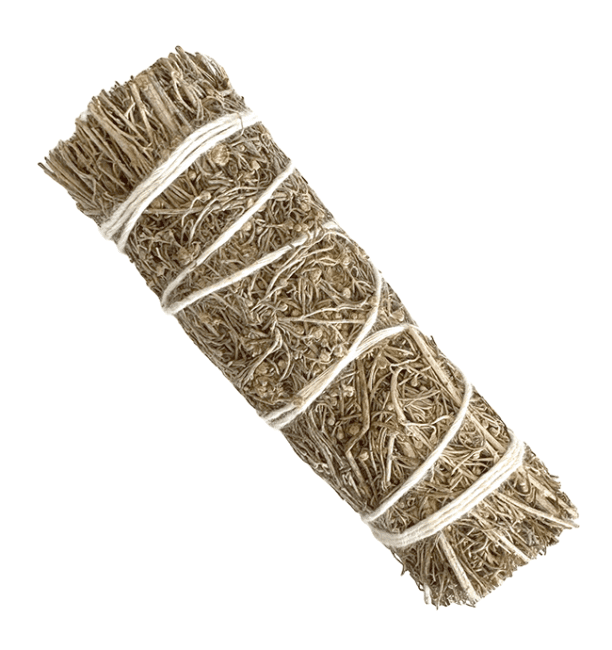 Sauge du Désert Fagot 25-30g 10cm chez Arabesk|cz