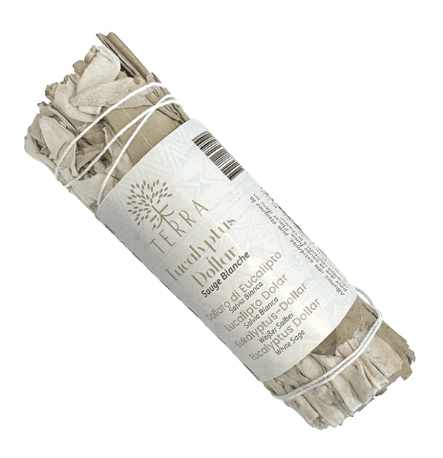Sauge Blanche & Eucalyptus Dollar Fagot 25-30g 10cm chez Arabesk