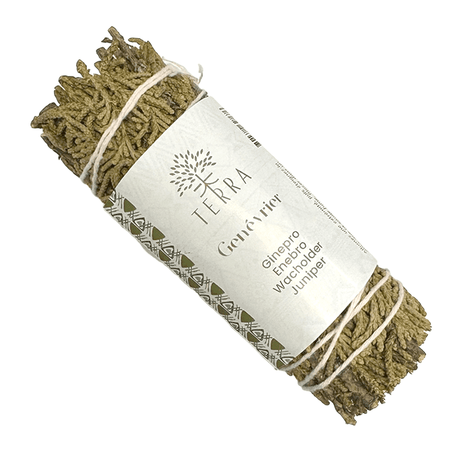 Juniper Genévrier fagot 25-30g 10cm chez Arabesk