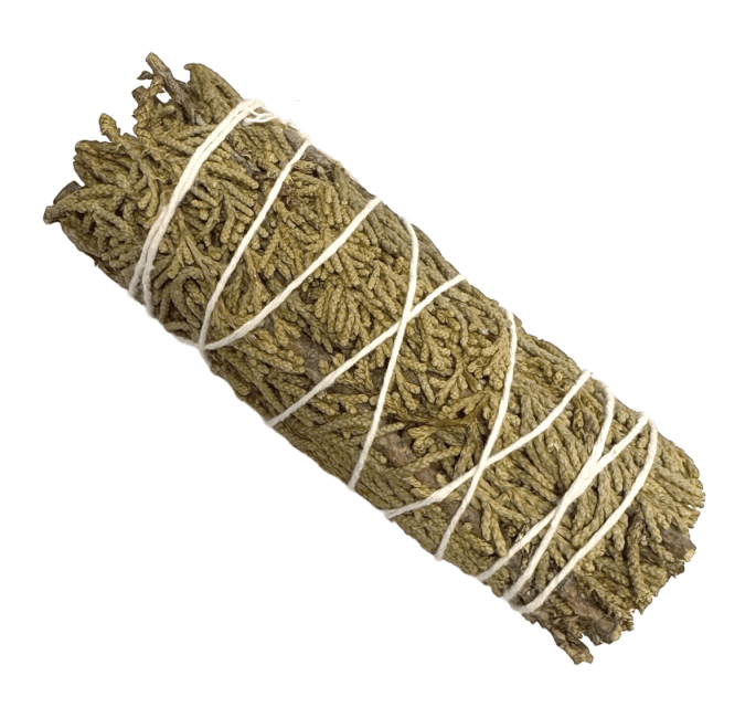 Juniper Genévrier fagot 25-30g 10cm chez Arabesk|cz