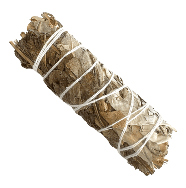 Sauge blanche  & Menthe Poivrée Fagot 25-30g 10cm chez Arabesk|cz