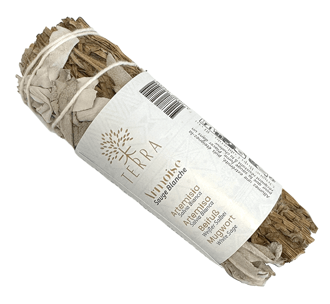 Sauge Blanche & Armoise fagot 25-30g 10cm chez Arabesk