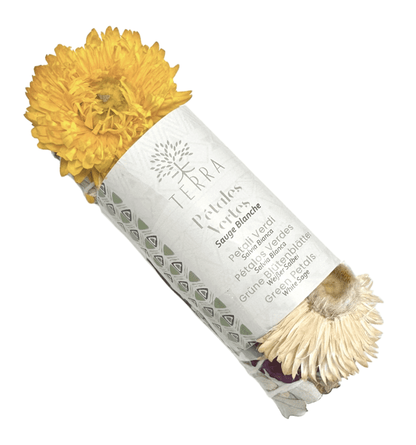 Sauge Blanche & Fleur de Paille Fagot 25-30gr 10cm chez Arabesk