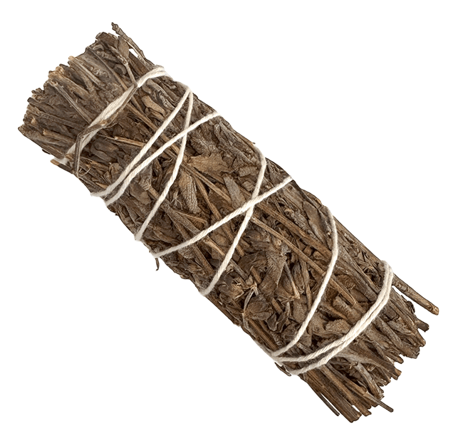 Sauge Royale Fagot 25-30gr 10cm chez Arabesk|cz