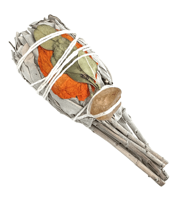 Sauge Blanche Torche avec Citrine 25-30g 11cm chez Arabesk|cz