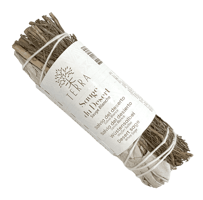 Sauge Blanche et Sauge du Désert fagot 25-30g 10cm chez Arabesk