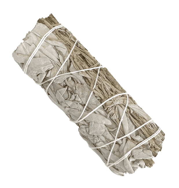 Sauge Blanche et Sauge Bleue fagot 25-30g 10cm chez Arabesk|cz