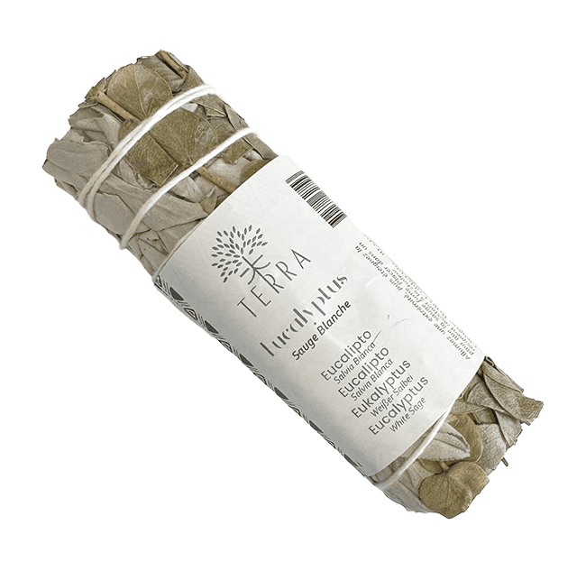 Sauge blanche & Eucalyptus fagot 25-30g 10cm chez Arabesk