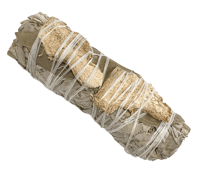 Sauge blanche & Eucalyptus & Gingembre Fagot 25-30g 10cm chez Arabesk|cz