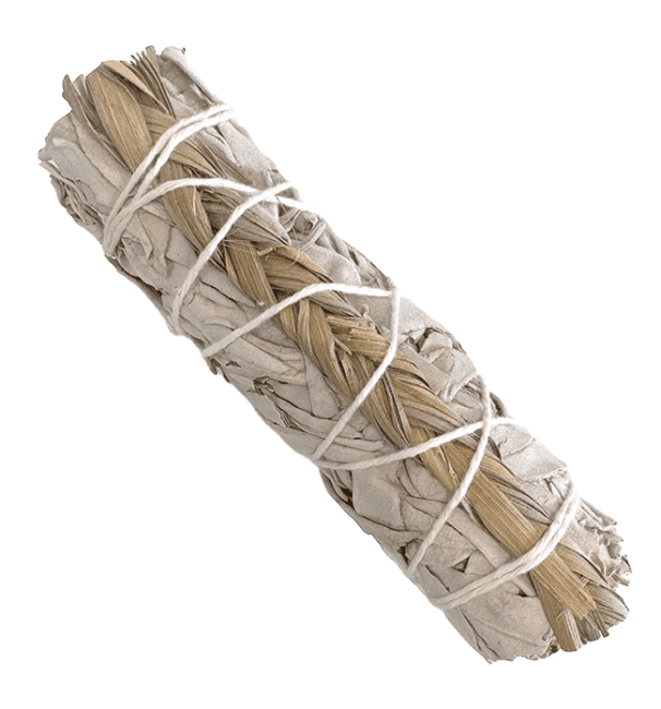 Sauge blanche californie & Sweet grass Foin d'odeur fagot 25-30g 10cm chez Arabesk|cz