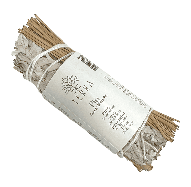 Sauge Blanche & Pin fagot 25-30g 10cm chez Arabesk