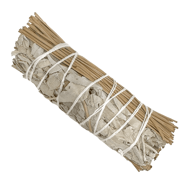 Sauge Blanche & Pin fagot 25-30g 10cm chez Arabesk|cz