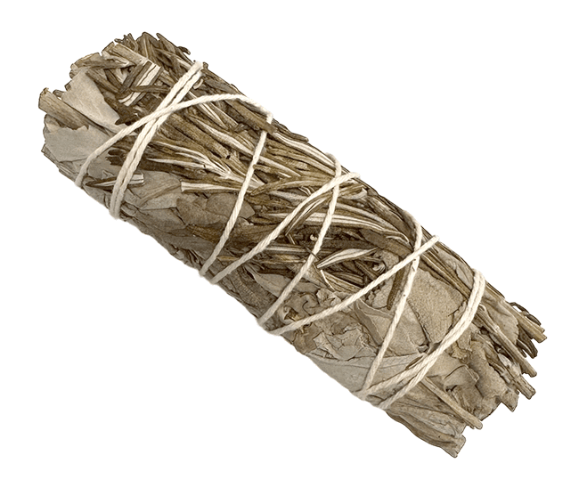 Sauge blanche & Romarin fagot 25-30g 10cm chez Arabesk|cz
