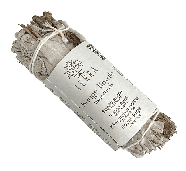 Sauge Blanche & Sauge Royale Fagot 25-30gr 10cm chez Arabesk