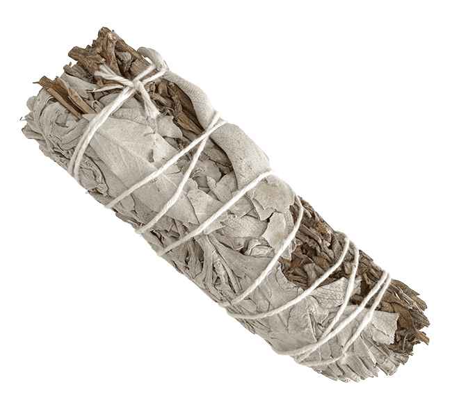 Sauge Blanche & Sauge Royale Fagot 25-30gr 10cm chez Arabesk|cz