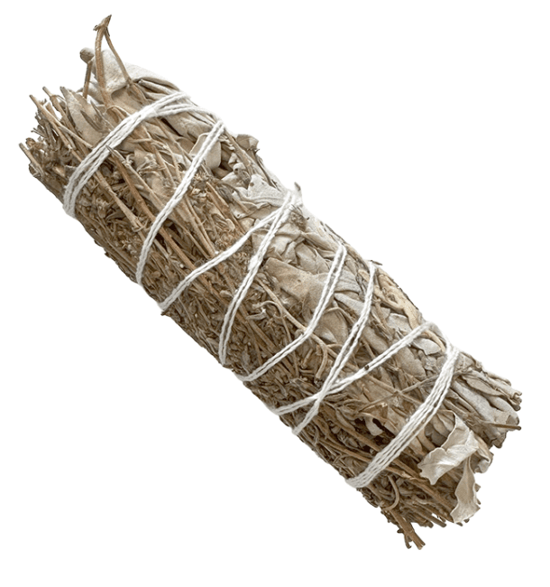 Sauge Blanche & Thym Fagot 25-30gr 10cm chez Arabesk|cz