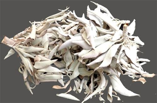 Vrac sauge blanche Californie 100g chez Arabesk