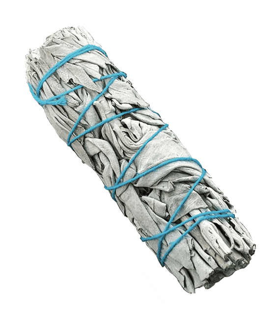 Sauge blanche Californie fagot sans étiquette 25-30g 10cm chez Arabesk