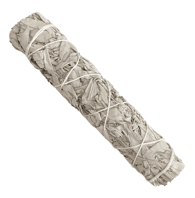 Sauge Blanche Californie fagot 90-100g 22cm chez Arabesk|cz