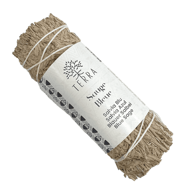 Sauge Bleue fagot 25-30gr 10cm chez Arabesk