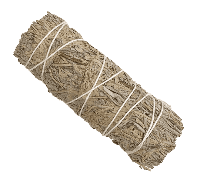 Sauge Bleue fagot 25-30gr 10cm chez Arabesk|cz