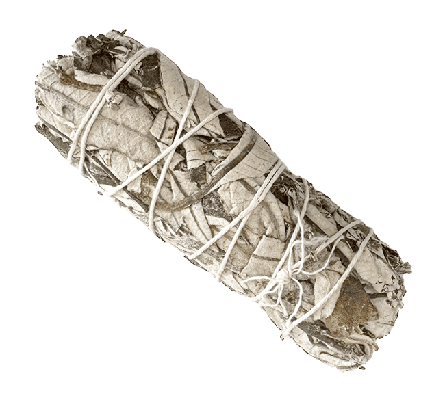 Sauge Yerba Santa fagot 25-30gr 10cm chez Arabesk|cz