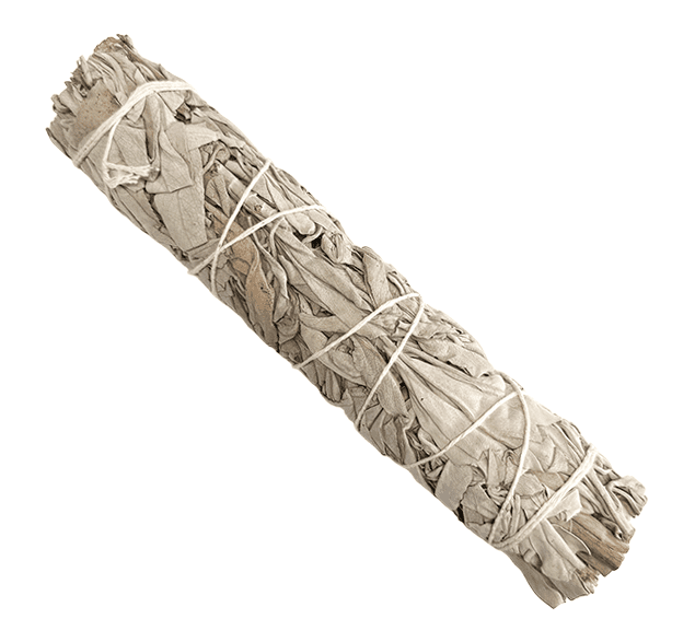 Sauge blanche californie fagot 70g 18cm chez Arabesk|cz