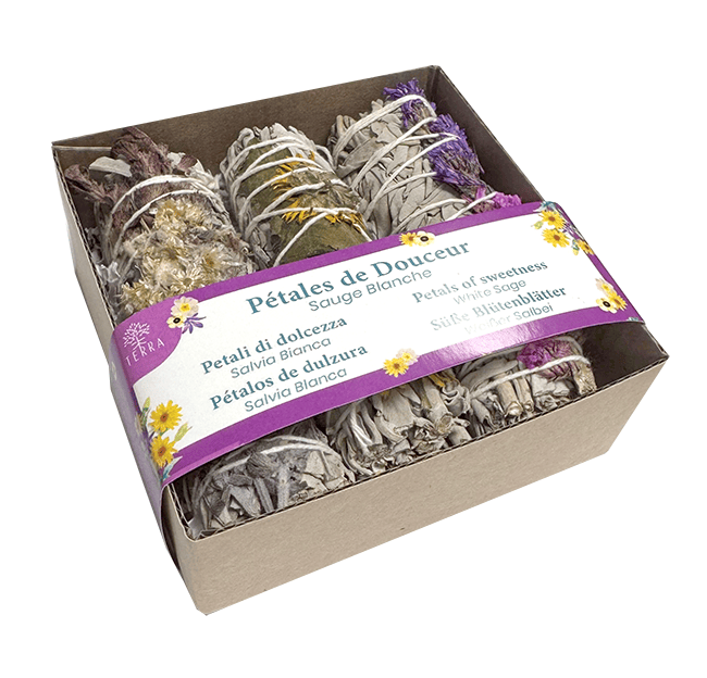 Set  Pétales de Douceurs & Sauge Blanche Fagot 25-30gr 10cm chez Arabesk