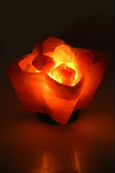 Solná lampa Miska Květina 3kg