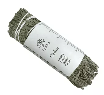 Bílý cedr tuje přírodní svazek 25-30g 10cm