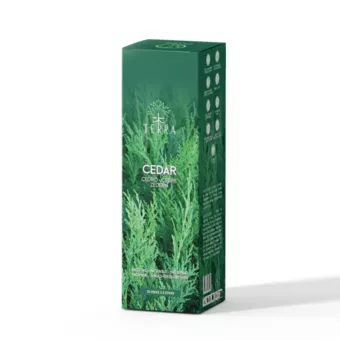 Vonné tyčinky TERRA Cedr bez uhlí 12g