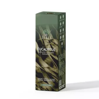 Vonné tyčinky TERRA Eucalyptus bez uhlí 12g