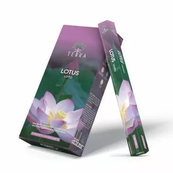 Vonné tyčinky Terra Lotus hexa bez uhlí 30g